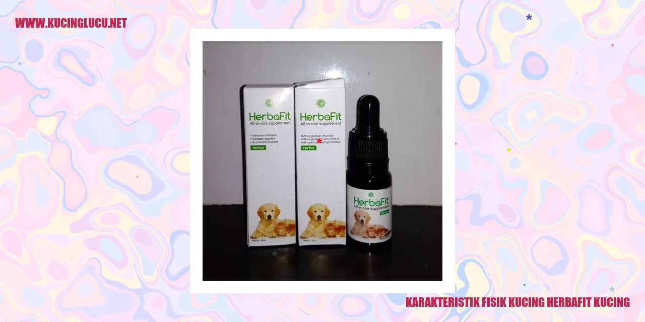 Karakteristik Fisik Kucing herbafit kucing