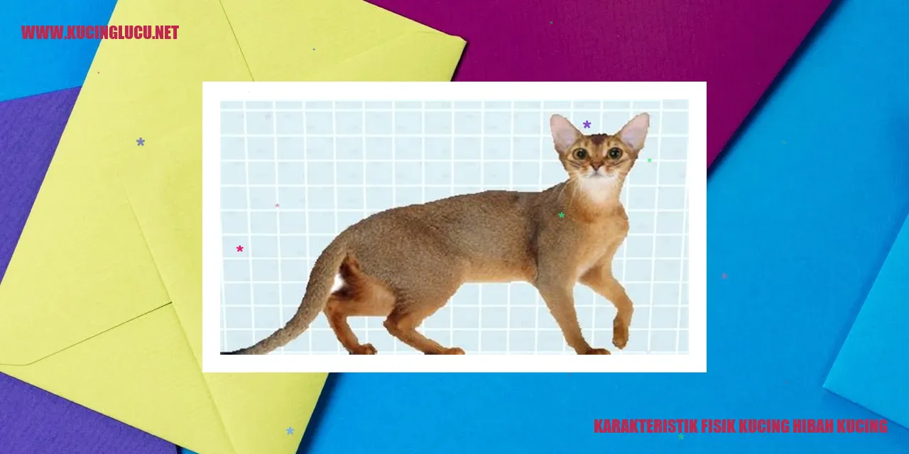 Karakteristik Fisik Kucing