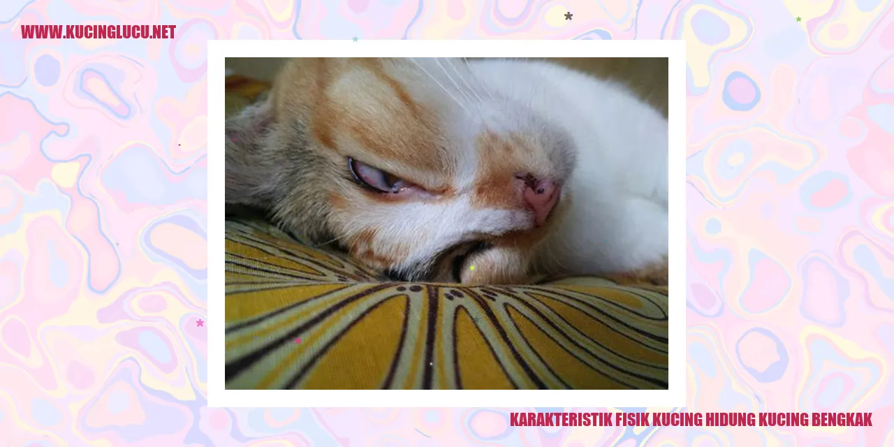 Karakteristik Fisik Kucing dengan Hidung Bengkak