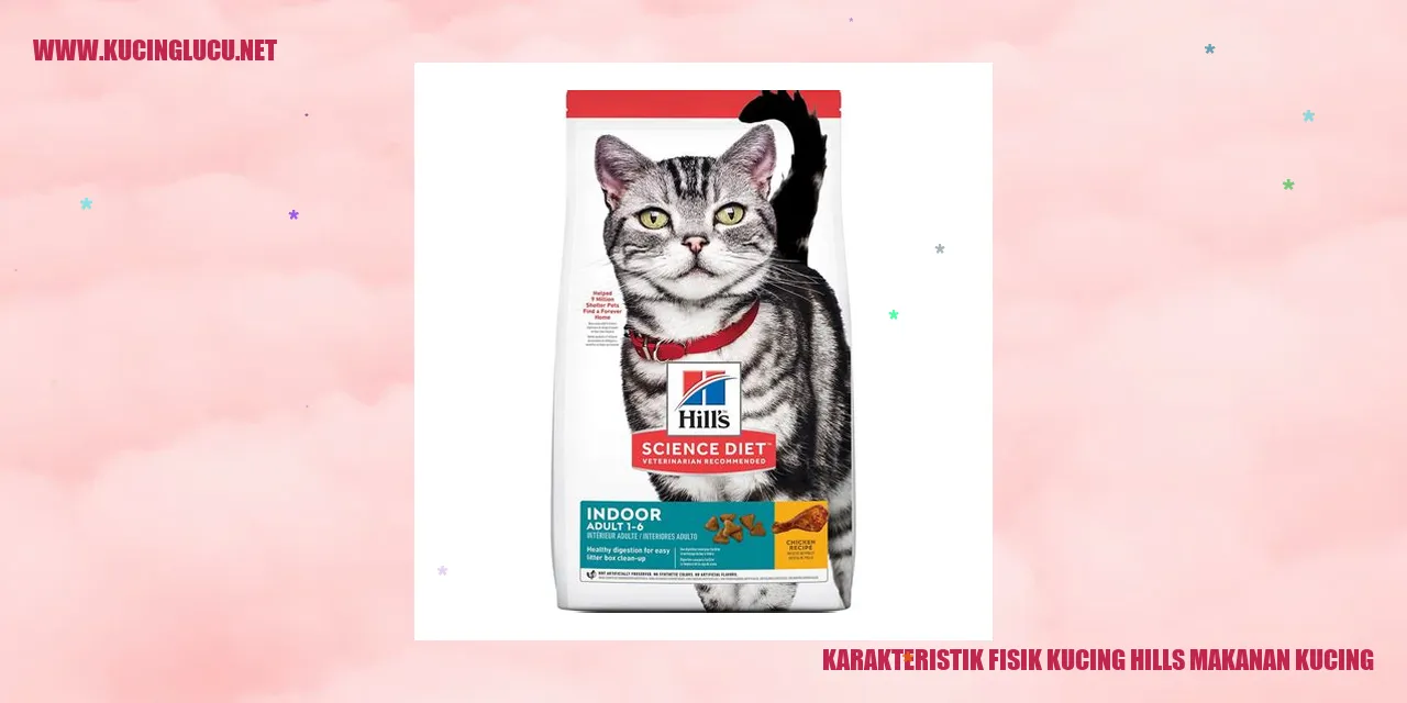 Karakteristik Fisik Kucing Hills Makanan Kucing
