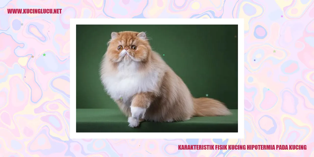 Kucing hipotermia