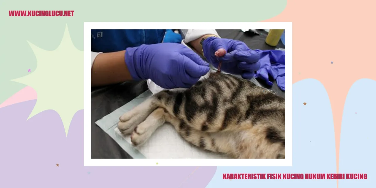 Karakteristik Fisik Kucing
