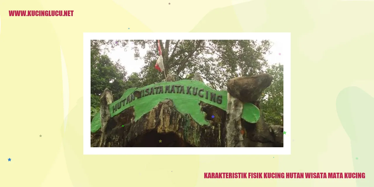 Kucing Hutan