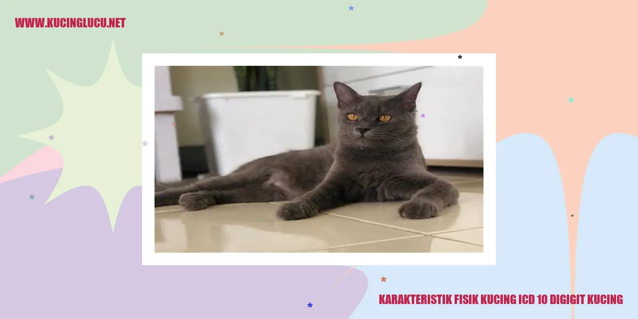 Gambar kucing sedang digigit kucing