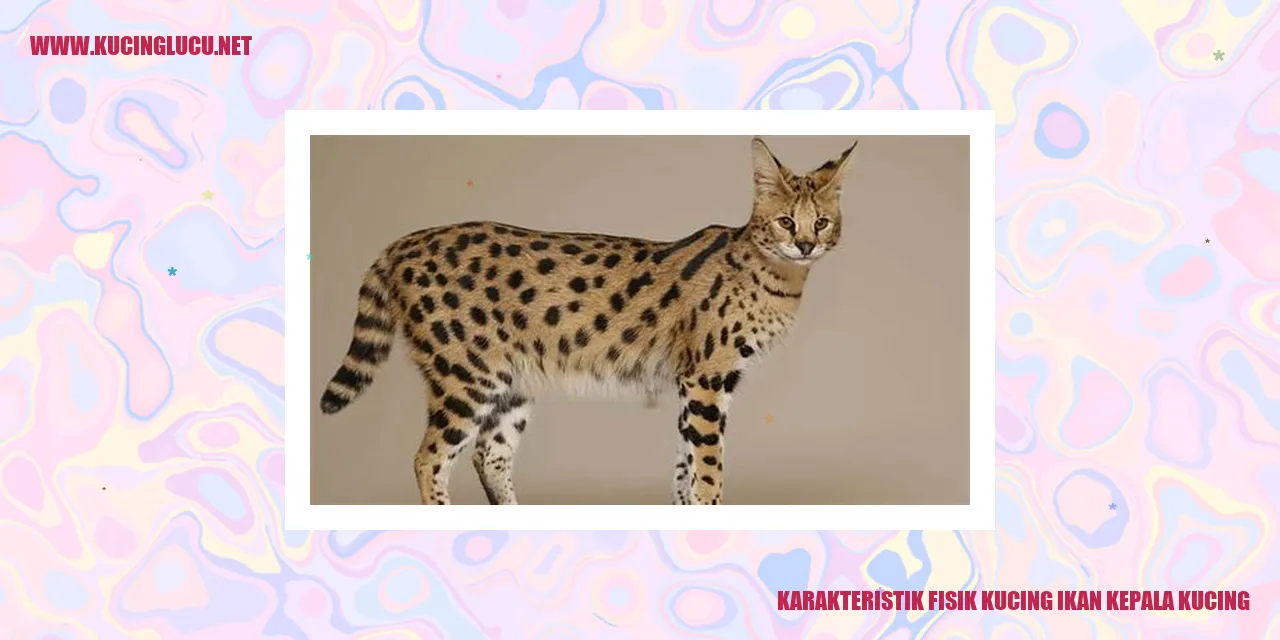 Kucing Ikan Kepala