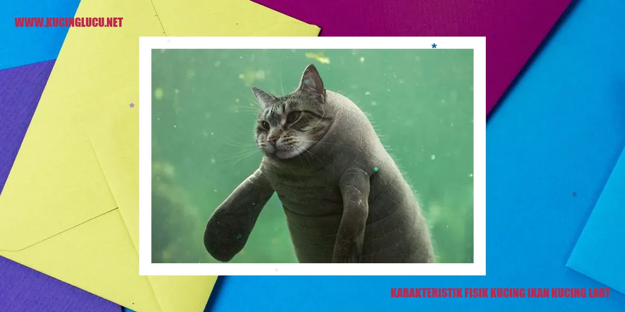 Kucing Ikan Kucing Laut