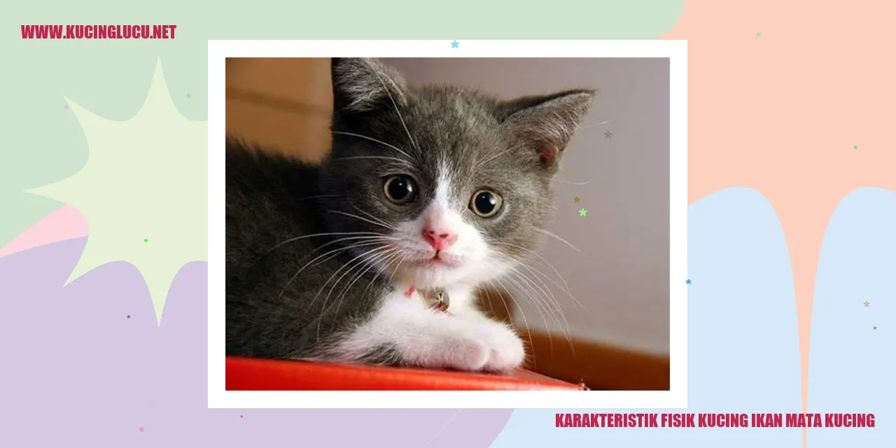 Karakteristik Fisik Kucing ikan mata kucing
