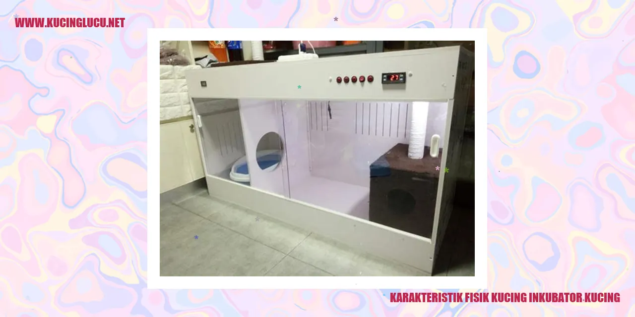Karakteristik Fisik Kucing inkubator kucing