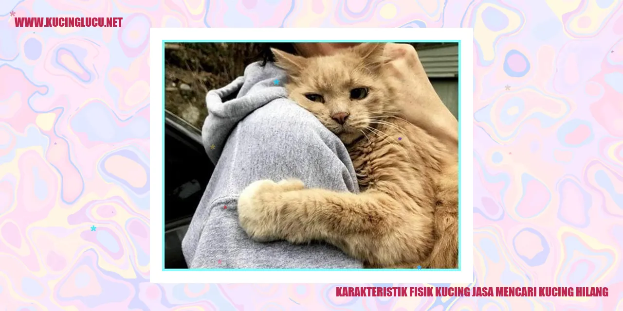 Karakteristik Fisik Kucing jasa mencari kucing hilang