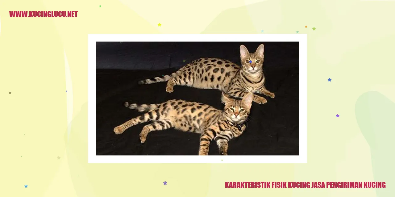 Karakteristik Fisik Kucing