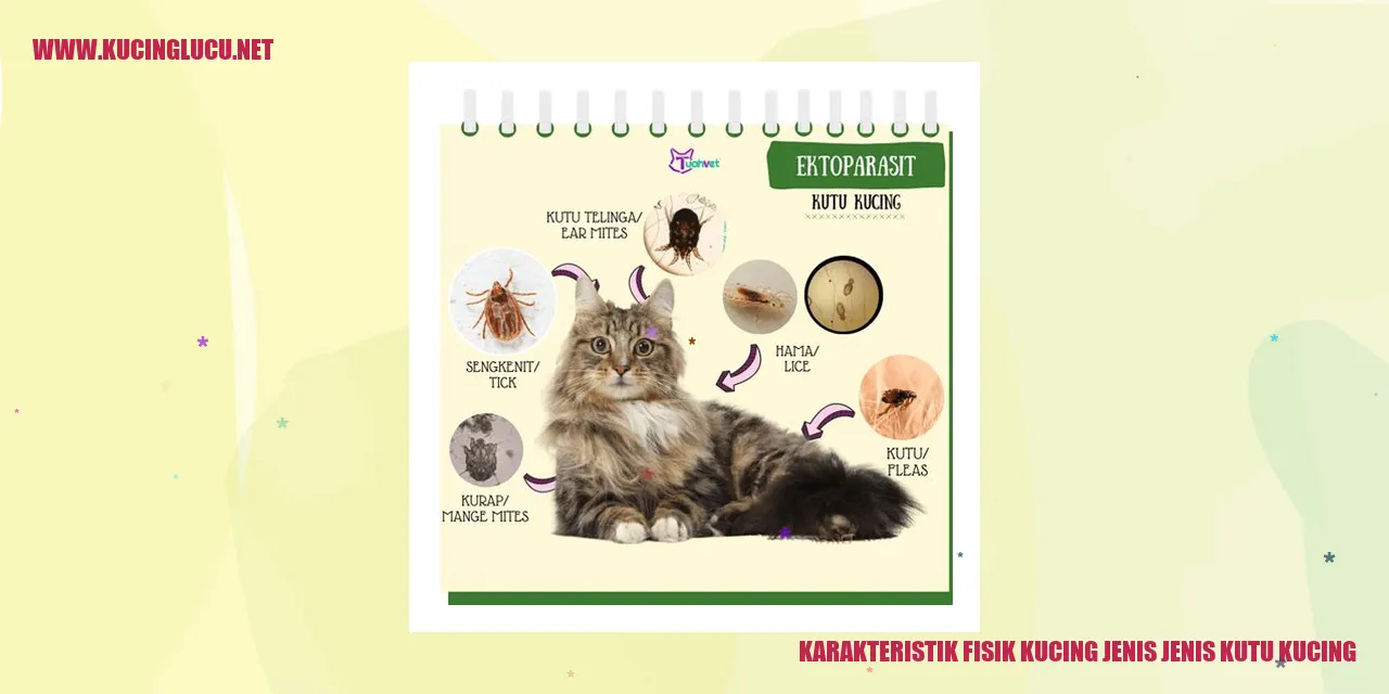 Ilustrasi Kutu Kucing