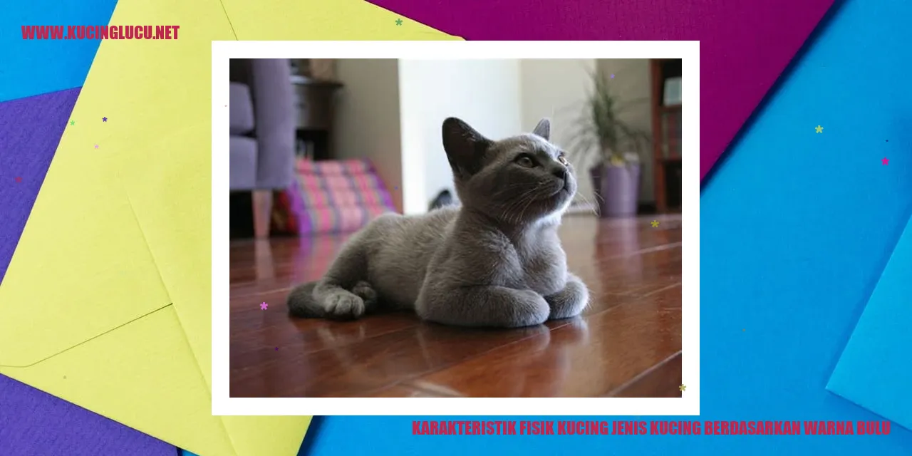 Karakteristik Fisik Kucing Berdasarkan Warna Bulu