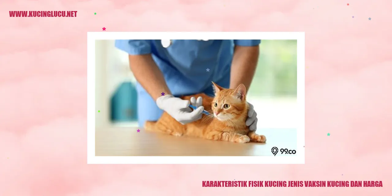 Karakteristik Fisik Kucing Jenis Vaksin Kucing dan Harga