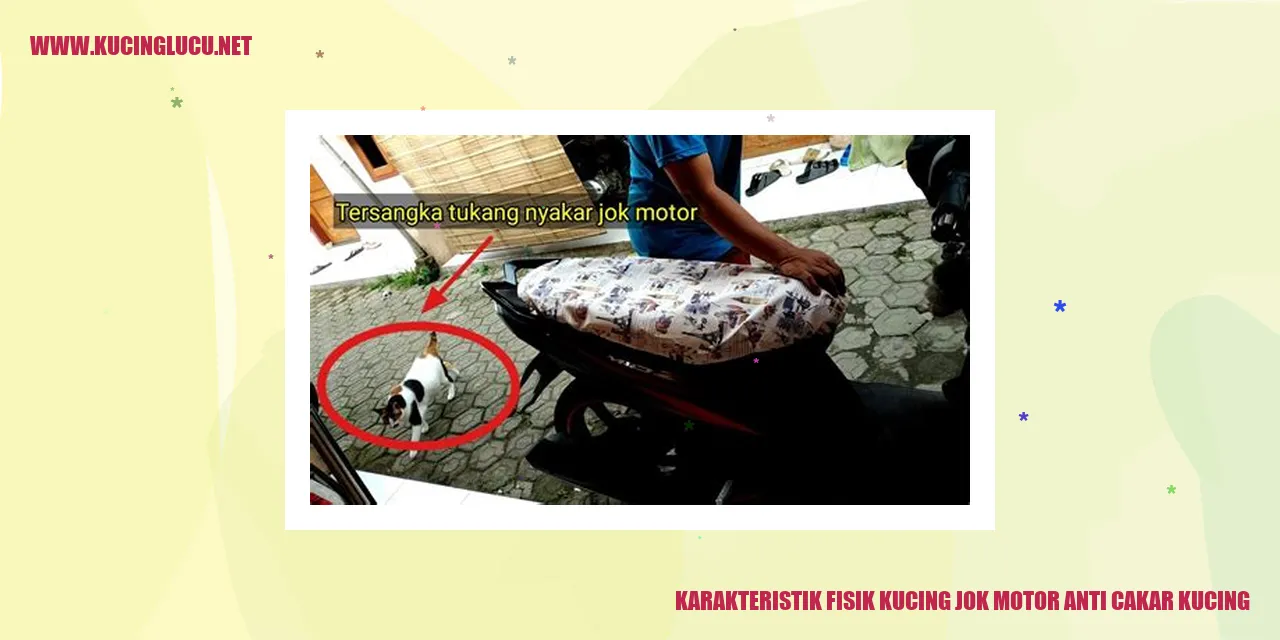 Karakteristik Fisik Kucing jok motor anti cakar kucing