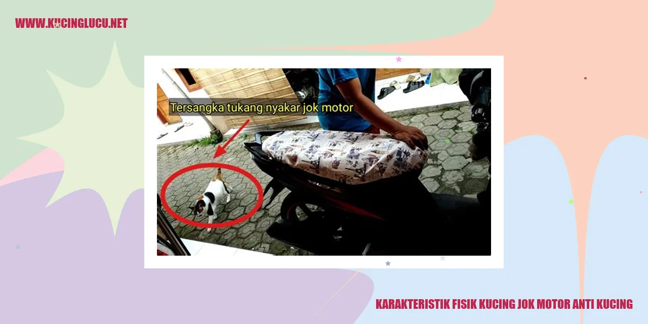 Karakteristik Fisik Kucing jok motor anti kucing