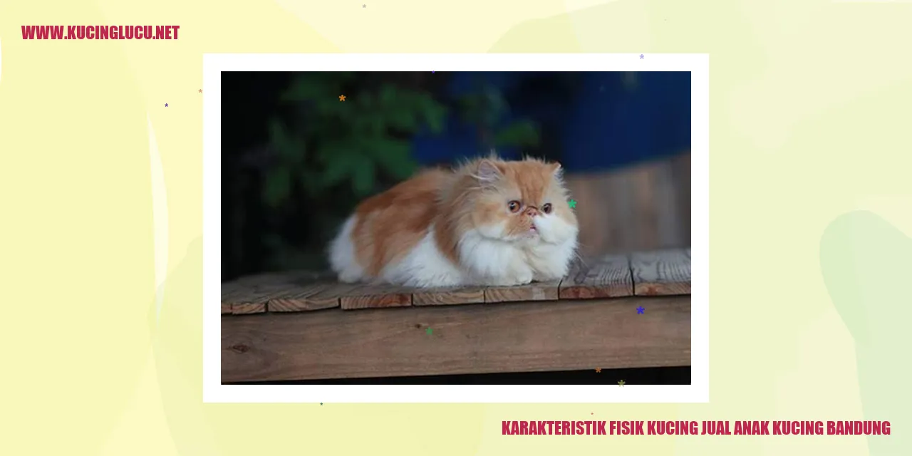 Karakteristik Fisik Kucing