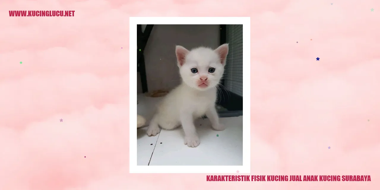 Karakteristik Fisik Kucing