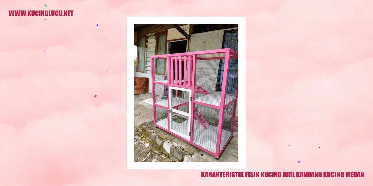 Karakteristik Fisik Kucing