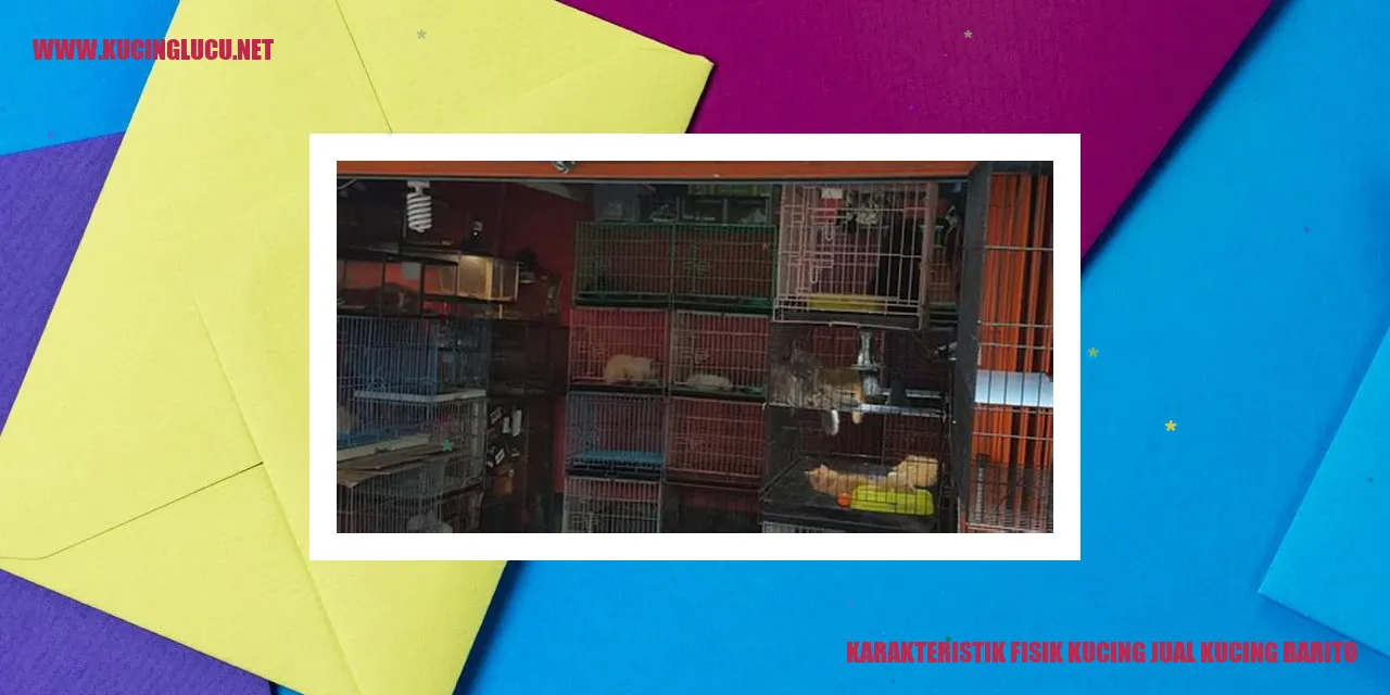 Karakteristik Fisik Kucing jual kucing barito