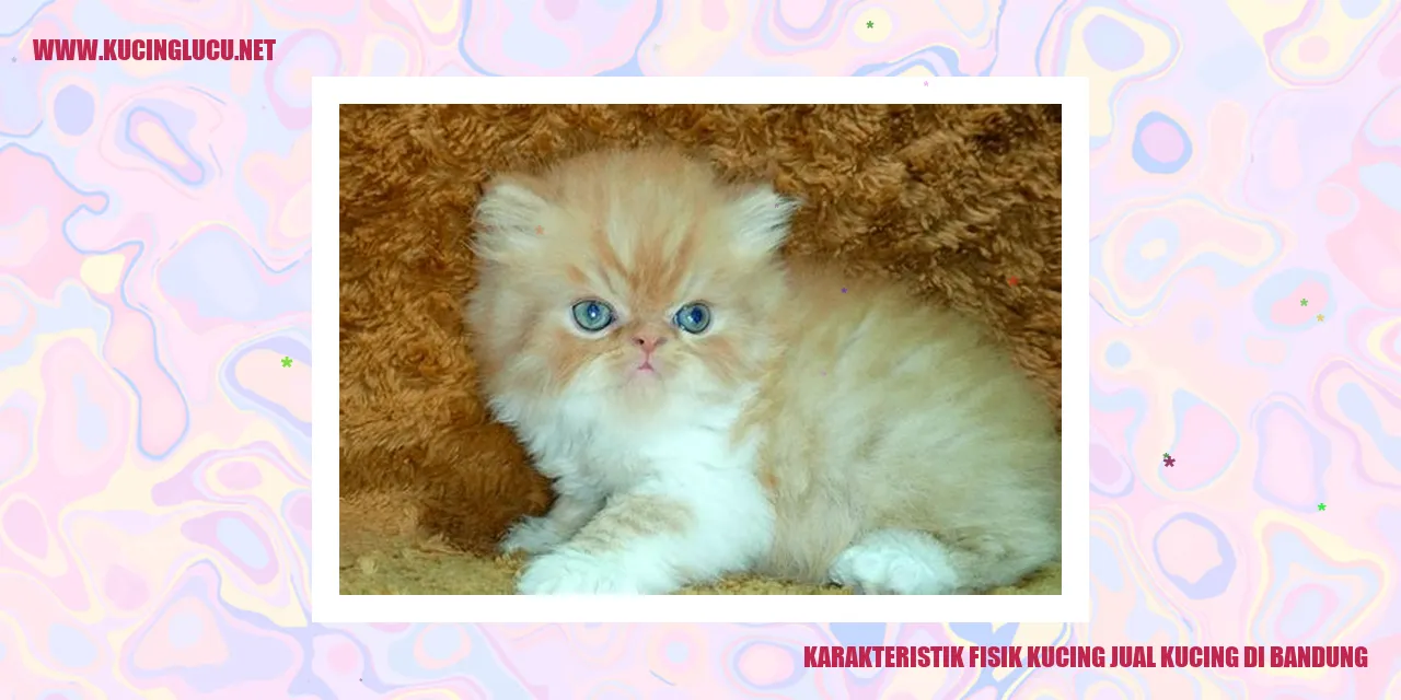 Karakteristik Fisik Kucing