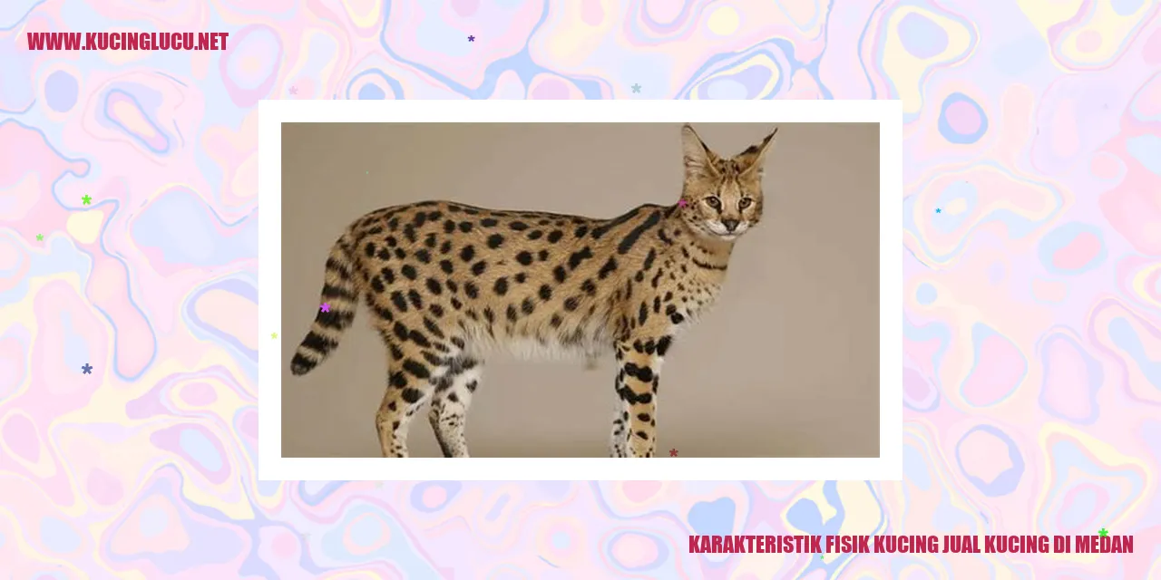 Karakteristik Fisik Kucing