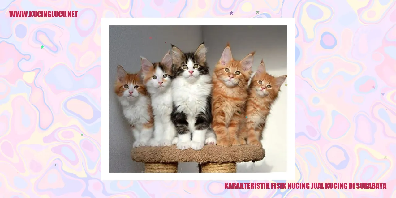 Karakteristik Fisik Kucing