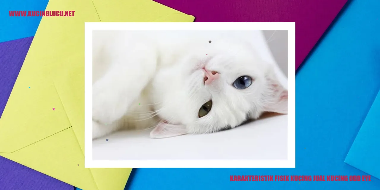Karakteristik Fisik Kucing jual kucing odd eye
