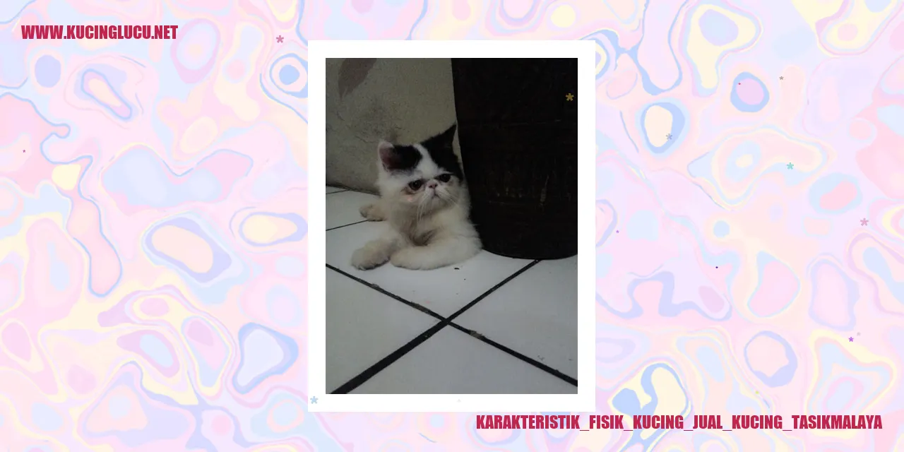 Karakteristik Fisik Kucing