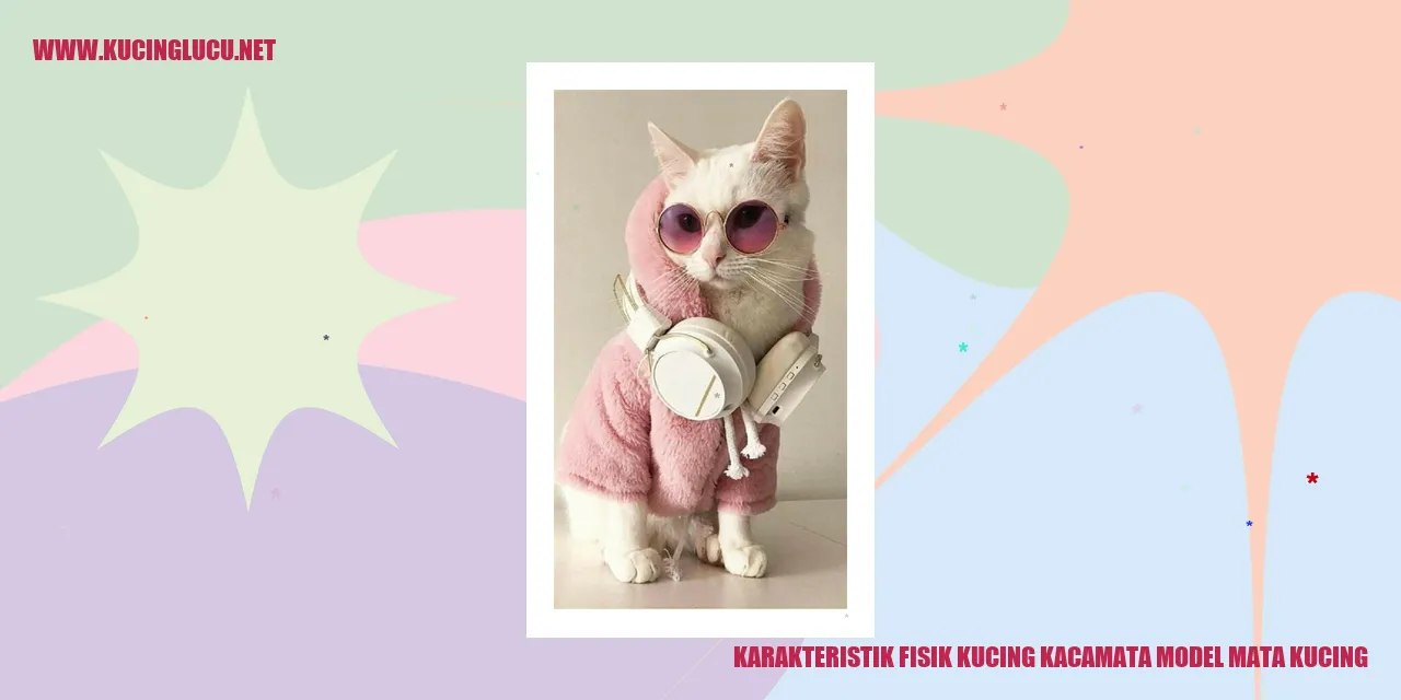 Karakteristik Fisik Kucing kacamata model mata kucing