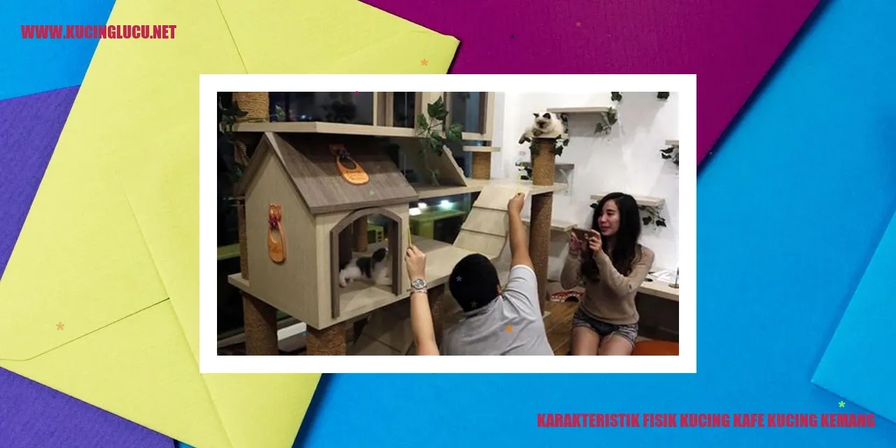 Karakteristik Fisik Kucing Kafe Kucing Kemang