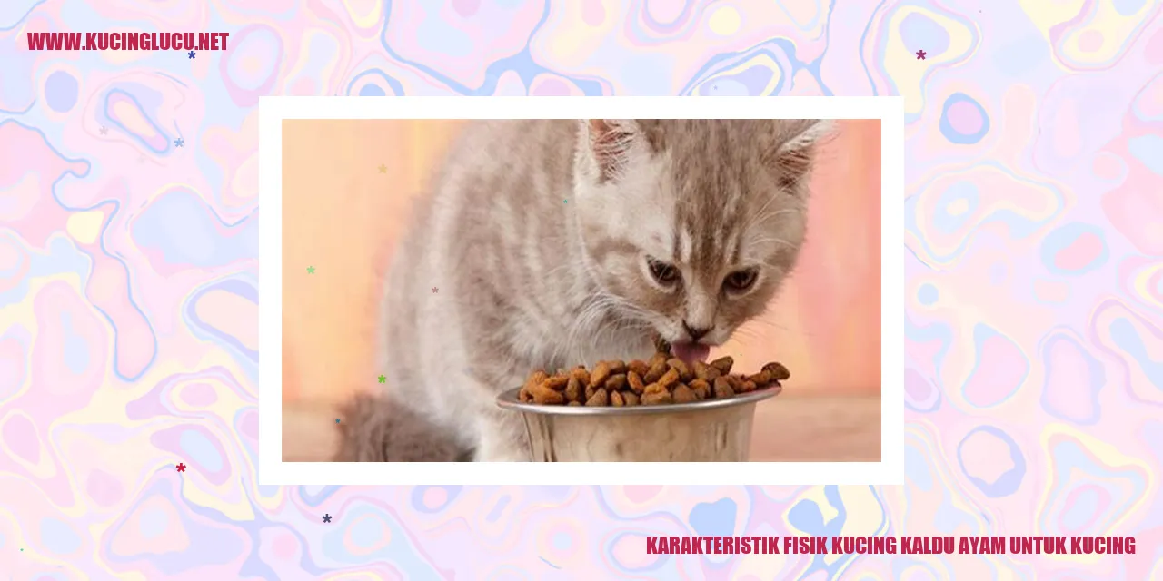 Gambar Kucing Kaldu Ayam