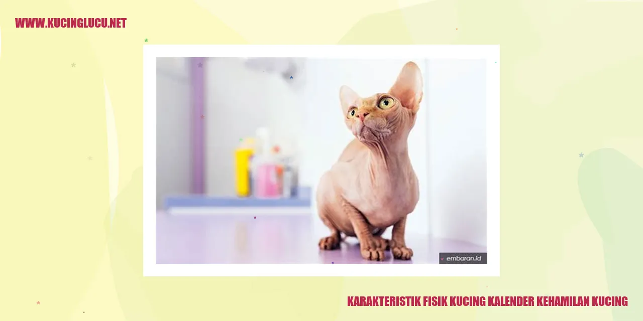 Karakteristik Fisik Kucing