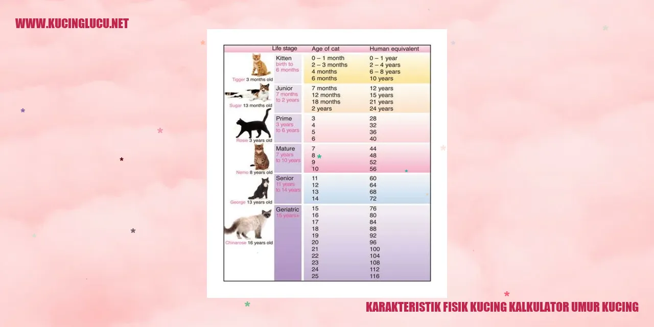Karakteristik Fisik Kucing