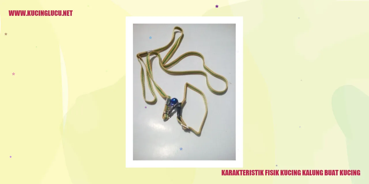 Karakteristik Fisik Kucing Kalung untuk Kucing