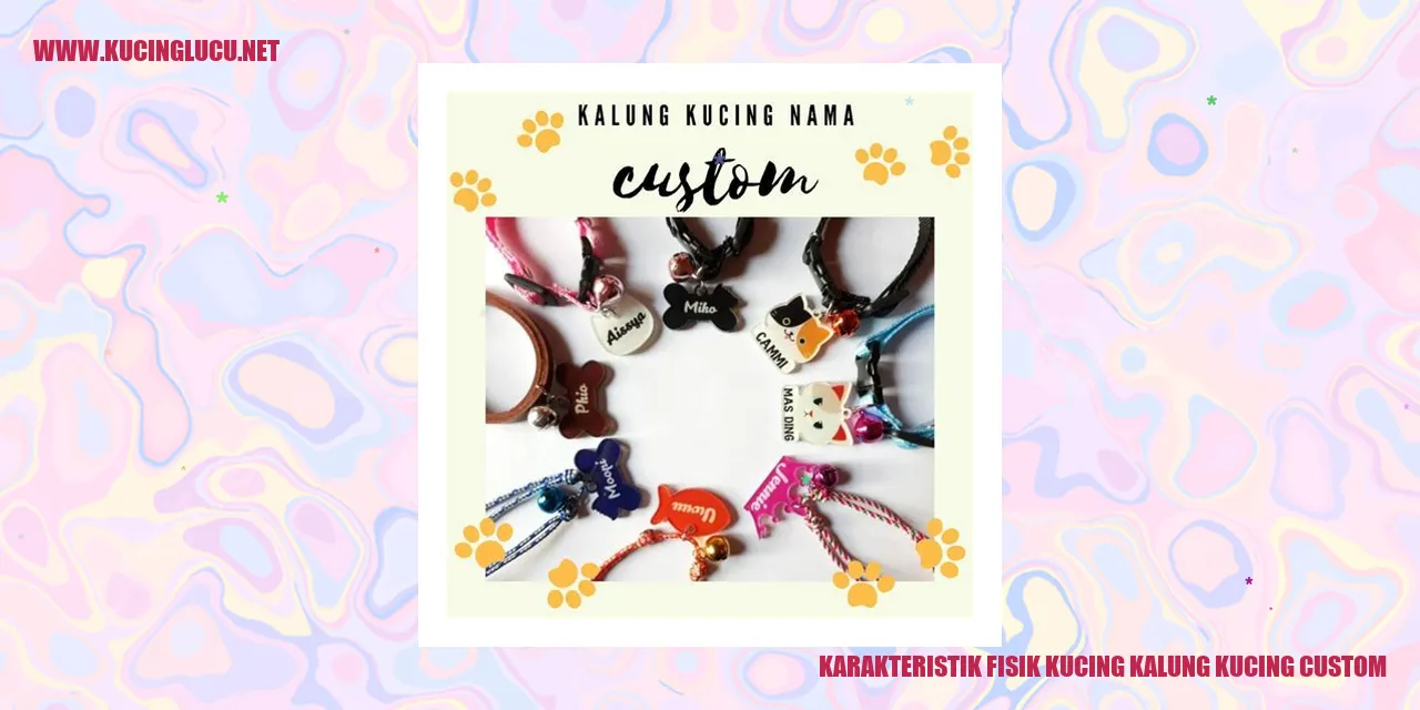 Karakteristik Fisik Kucing kalung kucing custom
