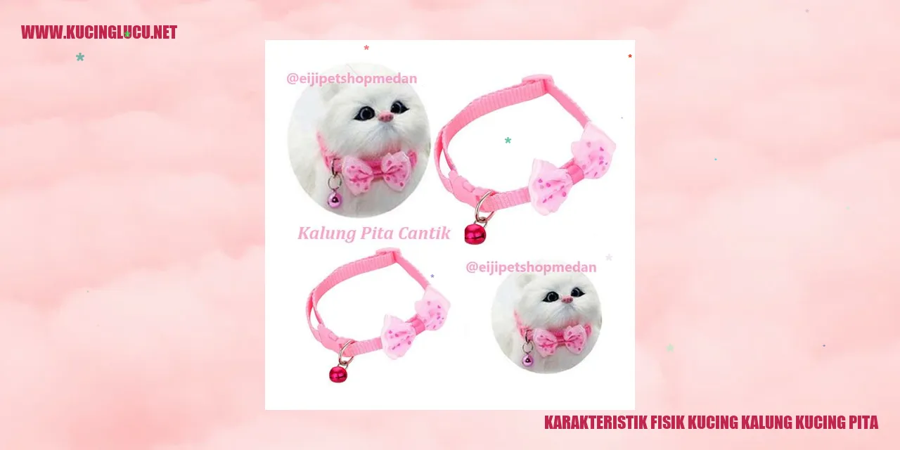 Karakteristik Fisik Kucing kalung kucing pita
