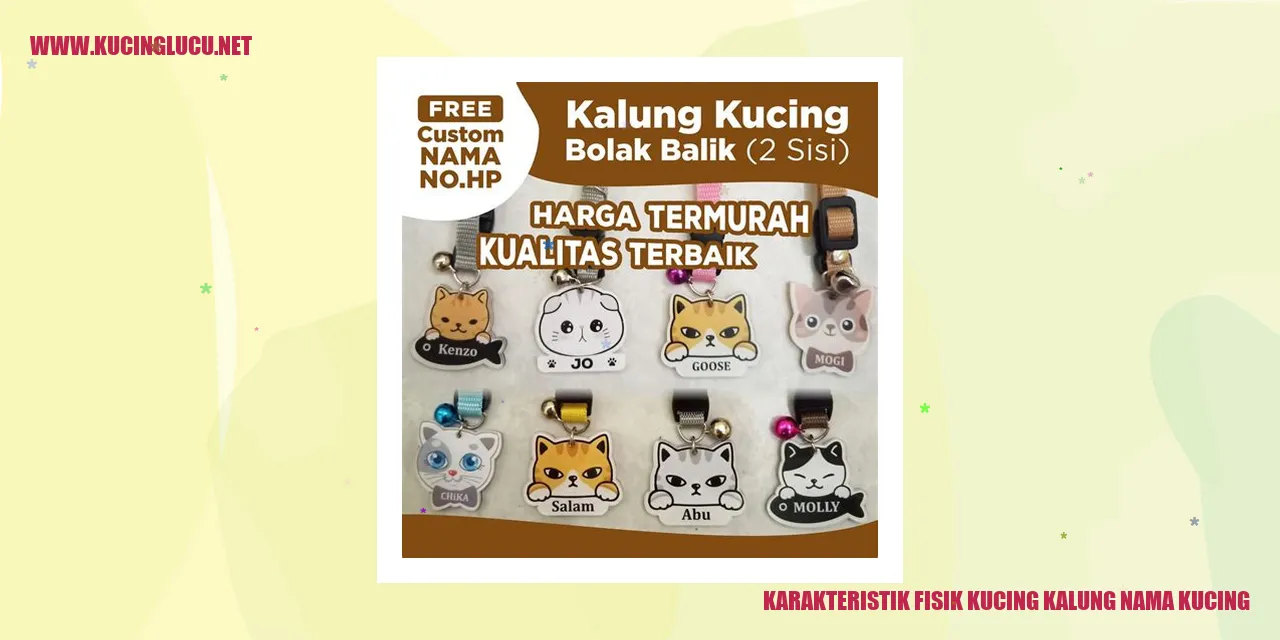 Kucing Kalung