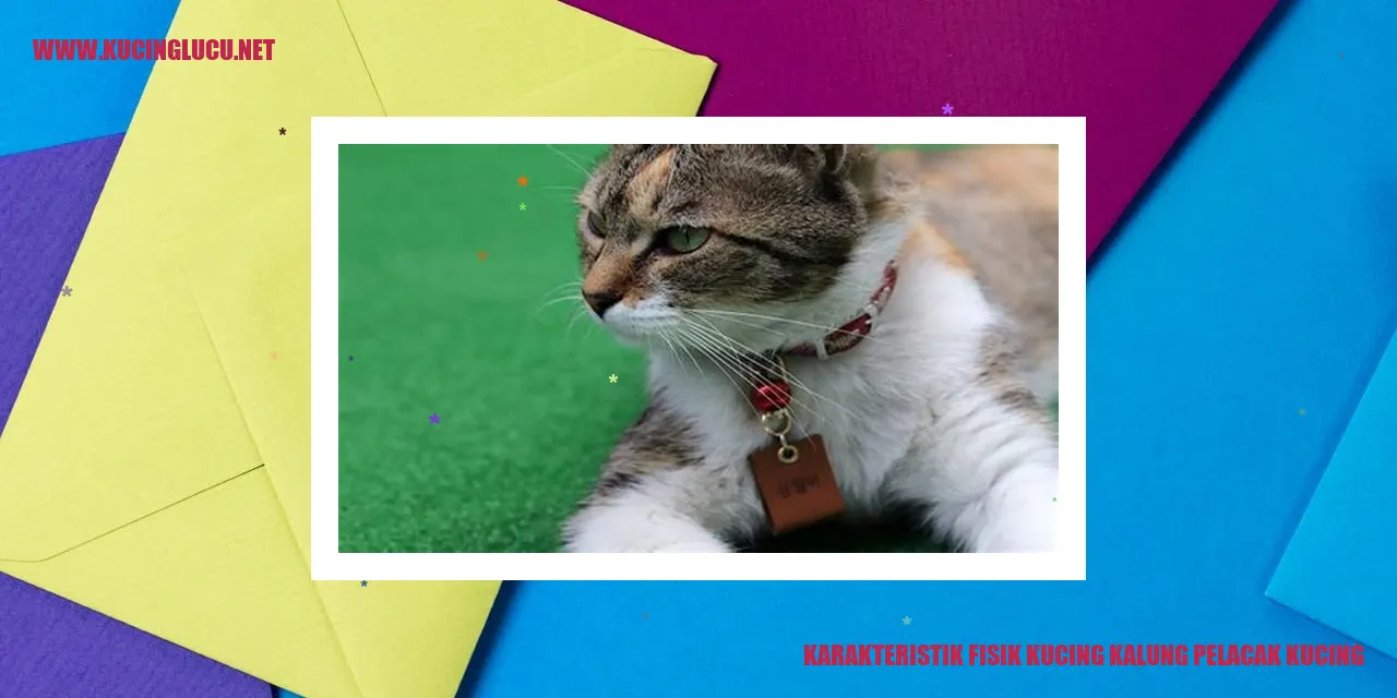 gambar kucing kalung pelacak