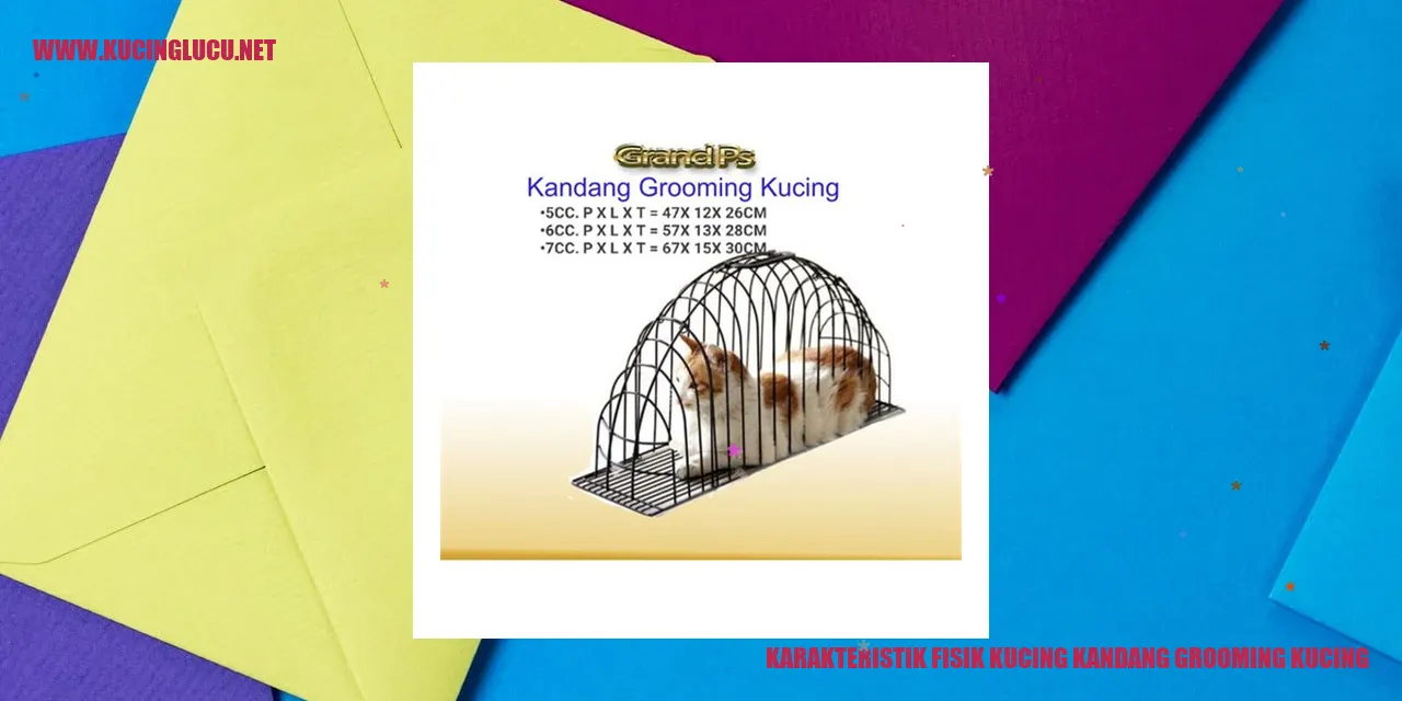 Karakteristik Fisik Kucing kandang grooming kucing