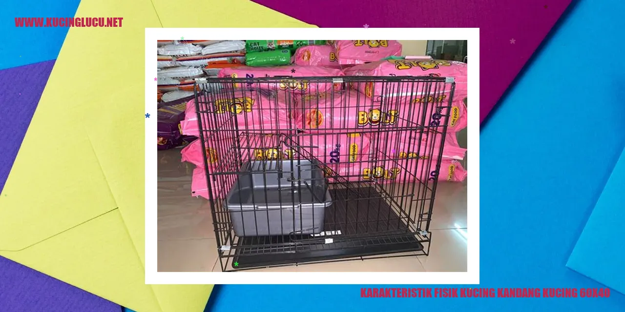 Karakteristik Fisik Kucing kandang kucing 60x40