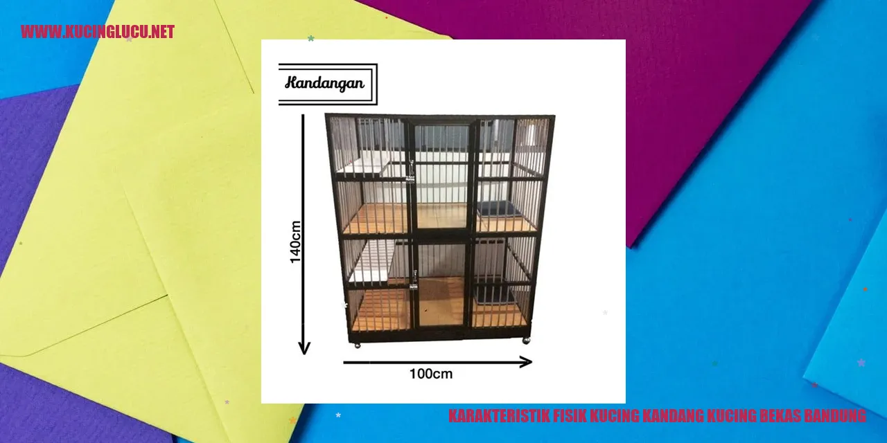 Karakteristik Fisik Kucing Kandang Kucing Bekas Bandung