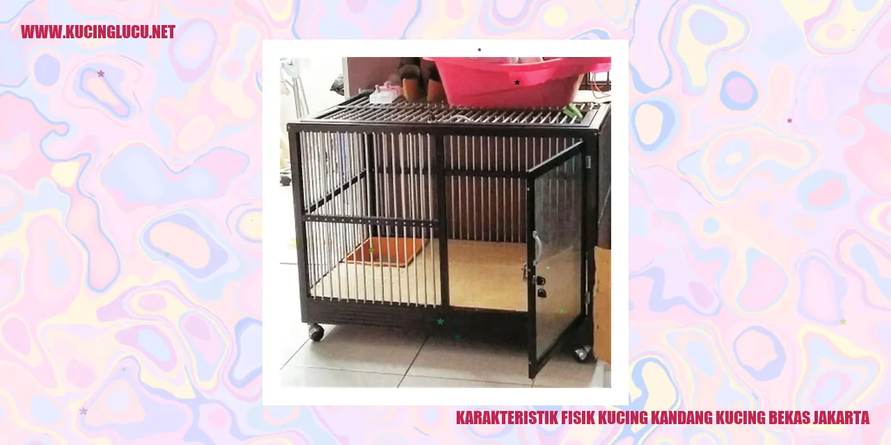 Karakteristik Fisik Kucing