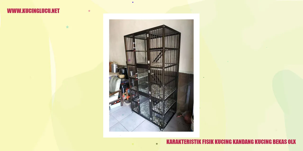 Kucing Kandang Kucing Bekas OLX