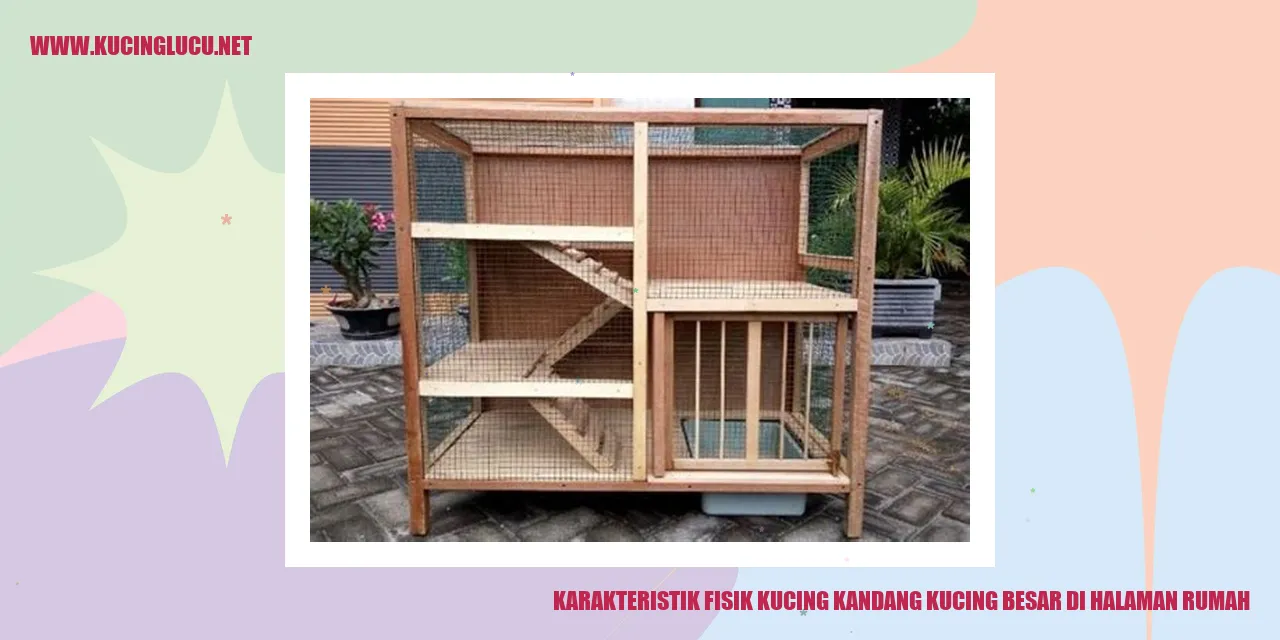 Karakteristik Fisik Kucing Kandang