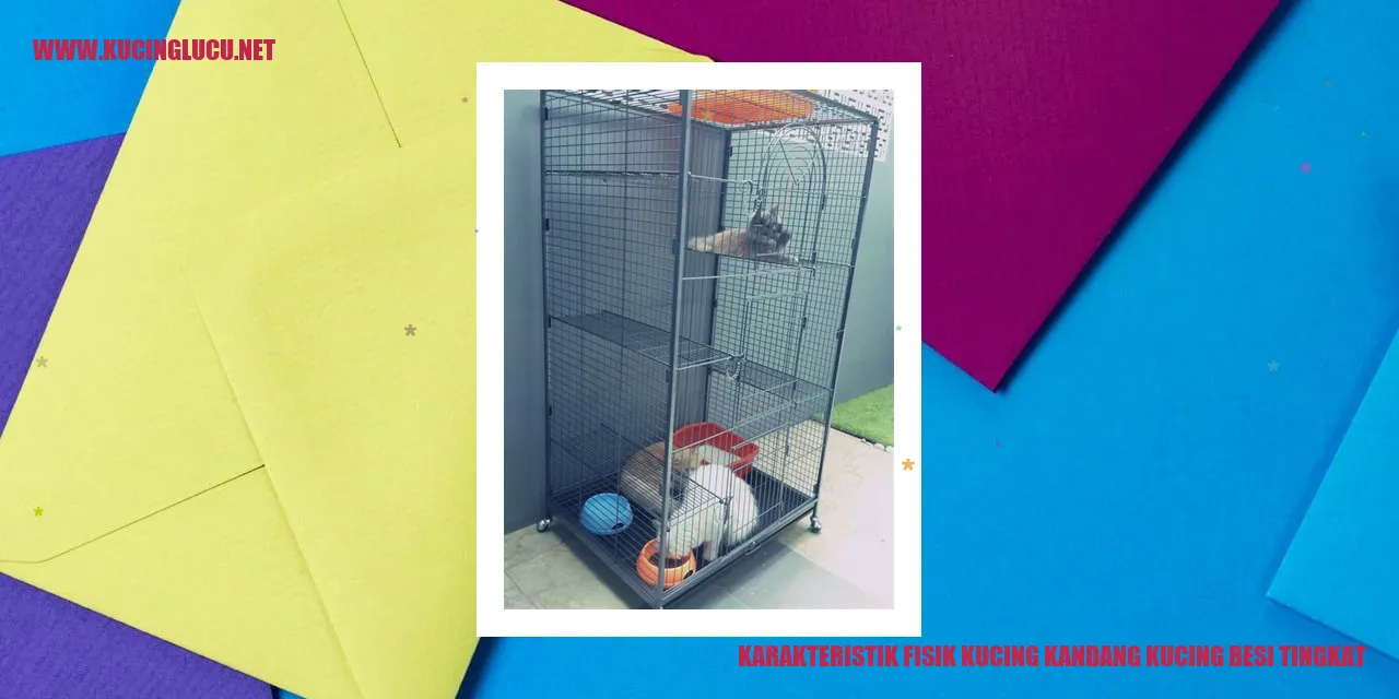 Karakteristik Fisik Kucing Domestic Kandang Berlantai Tingkat