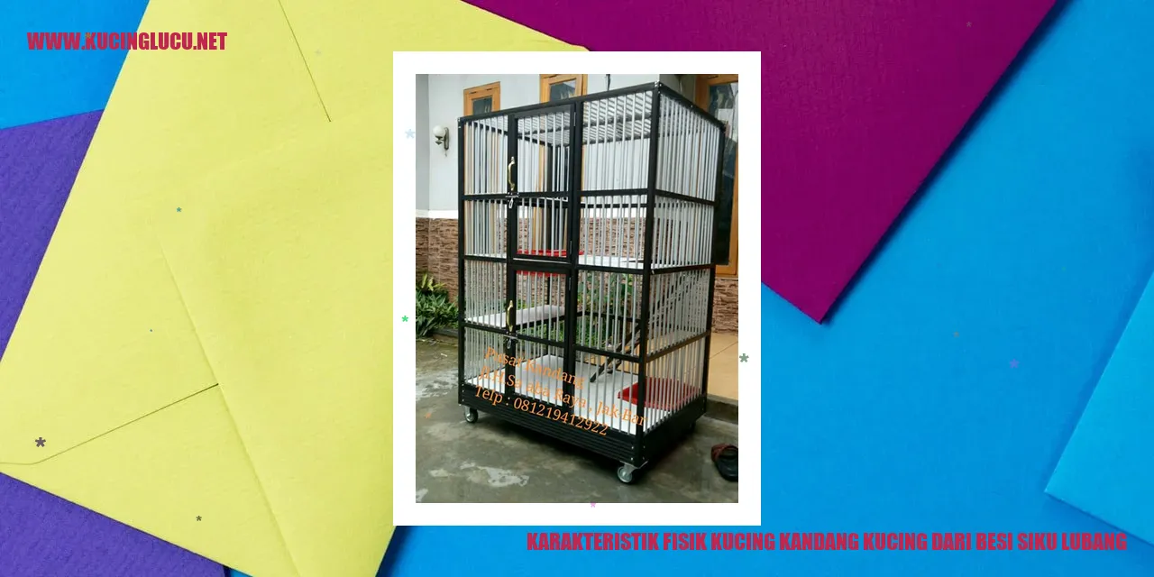 Karakteristik Fisik Kucing Kandang dari Besi Siku Lubang