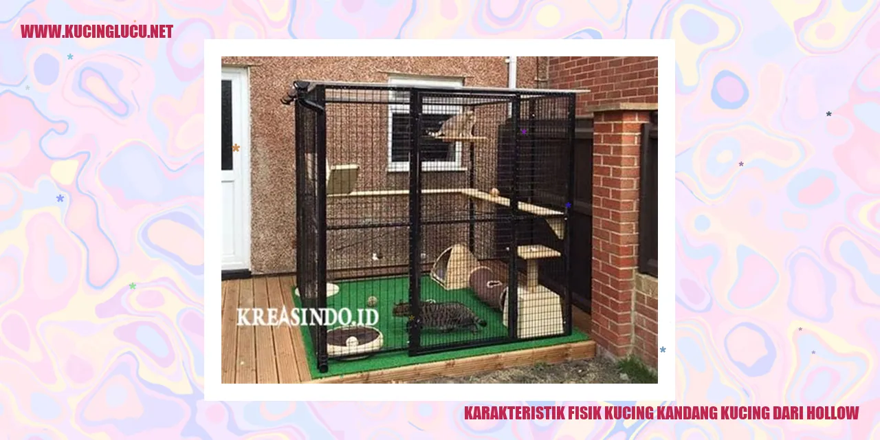 Karakteristik Fisik Kucing Kandang dari Hollow