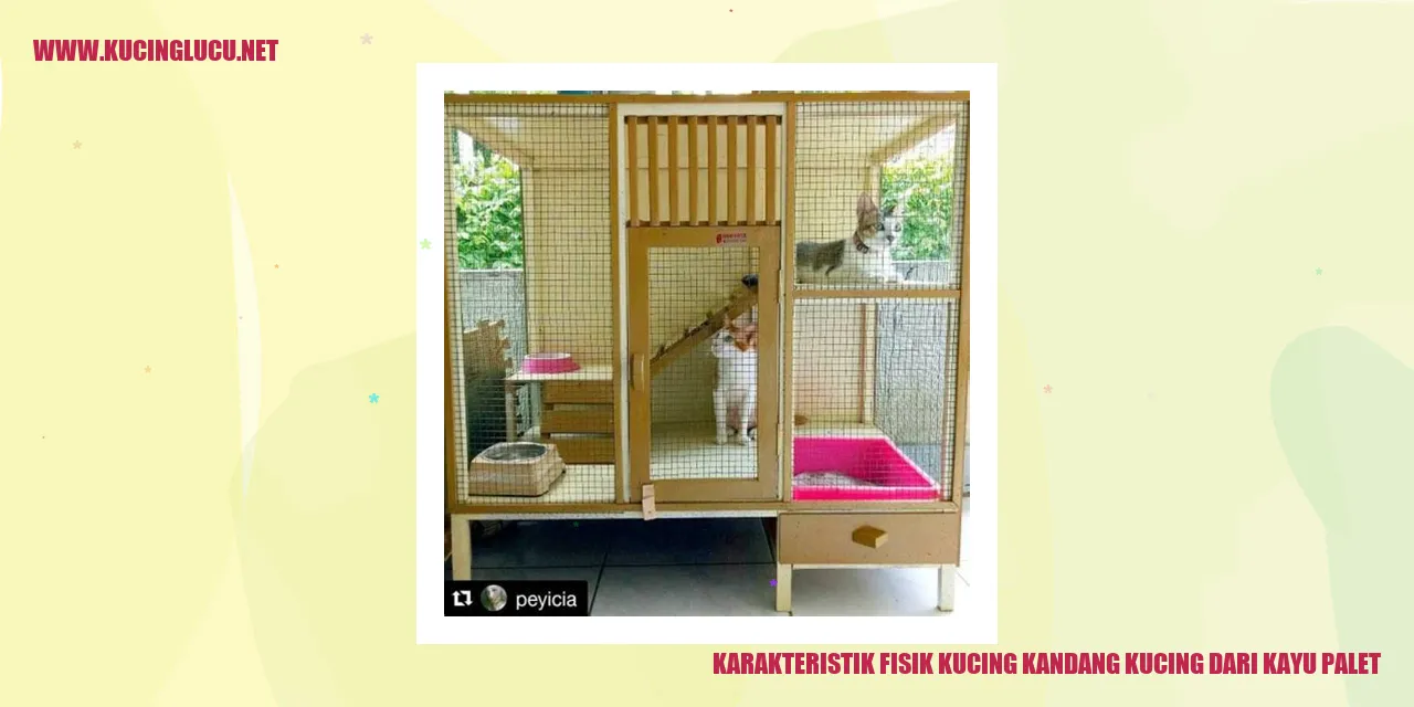 Karakteristik Fisik Kucing Kandang Kucing dari Kayu Palet