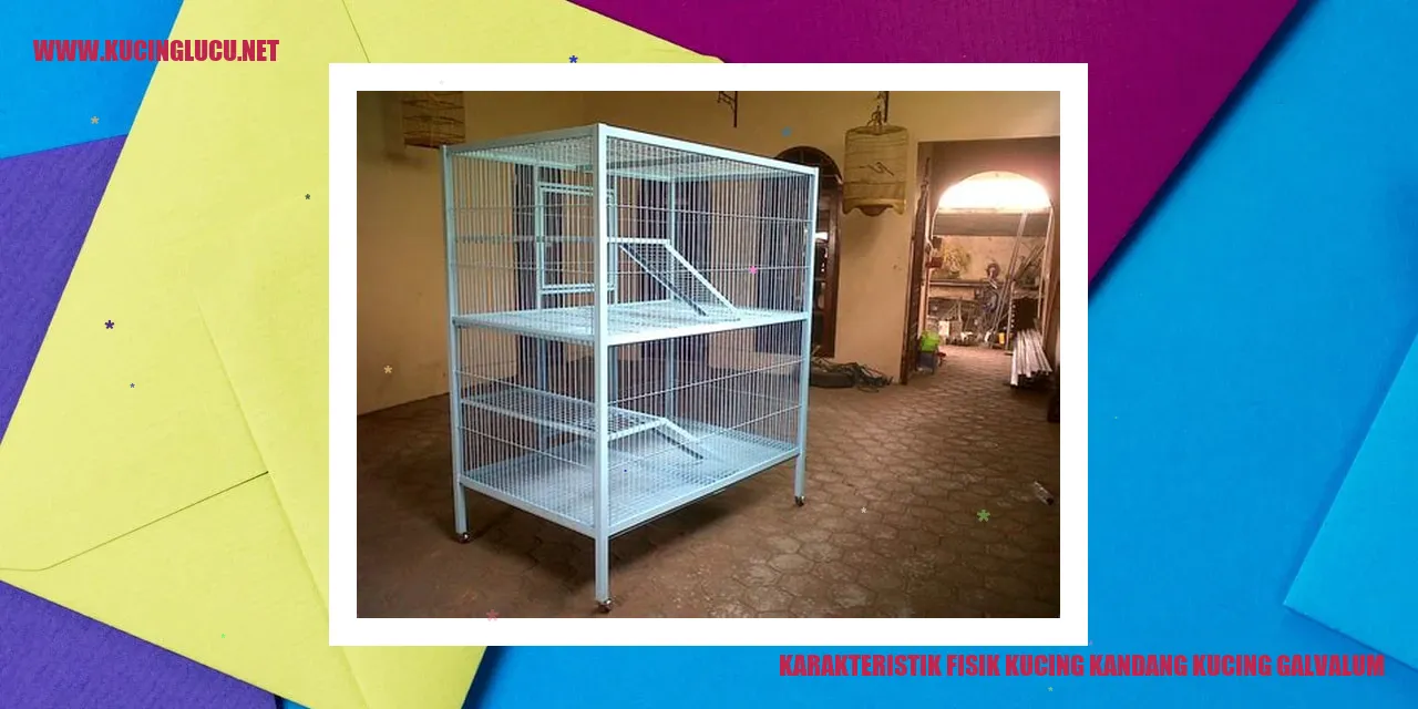 Karakteristik Fisik Kucing kandang kucing galvalum