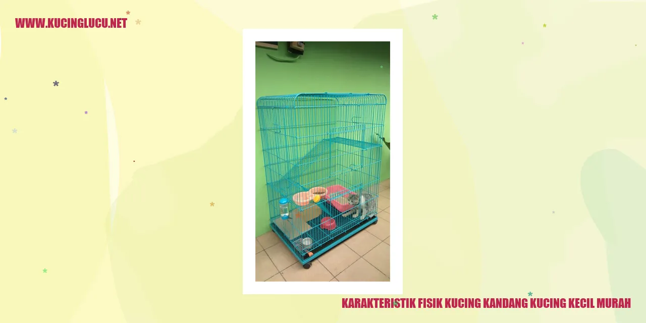 Karakteristik Fisik Kucing Kandang Kucing Kecil Murah
